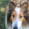 Ashlyn Alverson - @ashlynalverson - TikTok