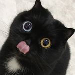 Ashlyn Harmon - @xusowhatuwu - Instagram