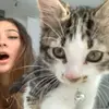 Ashlyn Heidenreich - @ashlynheidenreich - TikTok