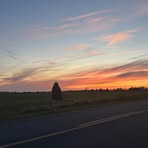Ashlynn Johnston - Facebook