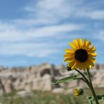 Ashlyn Kirkpatrick Photography - @akirkpatrickphotography - Instagram
