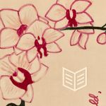 Ashlyn Lambert - @movingforwardagain - Instagram