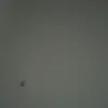 Ashlyn Loo - @ashlyn.loo4 - TikTok