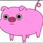 Ashlyn Maag - @i_love_piggies44 - Instagram