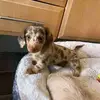 Ashlynn McDaniel - @ash.2006.mcdaniel - TikTok