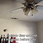 Ashlyn Murphy - @murphys_potatoes - Instagram