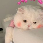 alondra - @ashlyn_rivas_2066 - Instagram