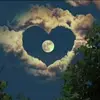 _ashlynrivera - @_ashlynrivera - TikTok