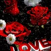ashmita sinha - @ashmita319 - TikTok