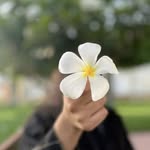 ashmitha reddy - @mallugariashmitha - Instagram