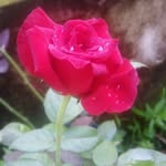 Ashok Monteiro - @m746182 - Instagram