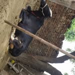 Ashok Vats - @ashok_vats_53_9910 - Instagram