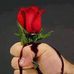Ashraf Ali - Facebook