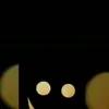 Ashraf Asker - @ashrafasker - TikTok