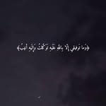 Ashraf Ismael - @ytrewqouk - Instagram