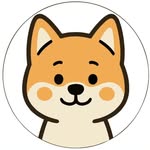 Ashraf Ismael - @travel.with.hachi - Instagram