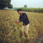 Asharaf Kamal - @ashraf_kamal__ - Instagram