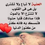 ashraf kamel - @ashrafkamel35 - Instagram