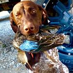 Gabe brening ashten smith - @whistling_wingsoutfitters - Instagram