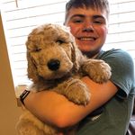 Ashton Benson - @ashtonbenson6 - Instagram