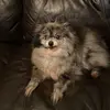 Ashton Bond - @ashtonbond0 - TikTok