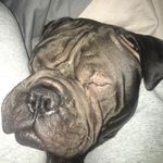Ashton Cherry - @ashton1405 - Instagram