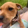 Ashton Coleman - @ashton.coleman8 - TikTok