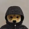 ashtoncottrell637 - @ashtoncottrell637 - TikTok
