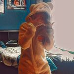 Ashton Cox - @_ashtoncox_ - Instagram