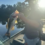 Ashton Cox - @ashtoncox495 - Instagram