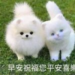 Wang Wei - @ashton.cox.5205 - Instagram