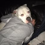 Ashton Cramer - @cramer_ashton - Instagram