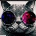 Ashton Cunningham - Facebook