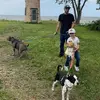 ashtondaniel6 - @ashtondaniel6 - TikTok