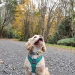 Ashton Day - @ashtonday578 - Instagram