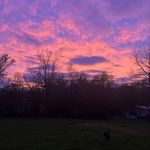 Ashton _ Dodd - @ashtondodd5 - Instagram