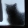 ashtonodoherty - @ashtonodoherty - TikTok