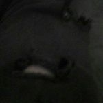 ashton - @ashtondowns117 - Instagram