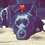 Ashton Doyle - @ashtoncd17 - Instagram