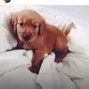 ashton.doyle - @ashton.doyle - TikTok