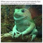 Ashton Erickson - @secret_frog_community001 - Instagram