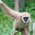 Ashton Ford - @howtobelogic - Instagram