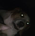 Ashton Fraser - Facebook