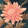 ashtongarrison458 - @ashtongarrison458 - TikTok