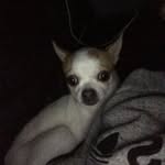 Ashton_Gee_05 - @a.o.g_05 - Instagram