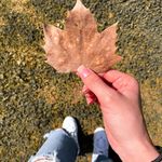 Ashton - @ashton_____glover__42sa0 - Instagram