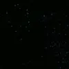 Ashton glovers association - @ashtonglovers - TikTok