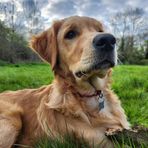 Ashton Hatton-Pocklington - Facebook