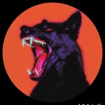 ashton hawk - @hawkoqs - Instagram