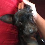 Ashton Kent - Facebook